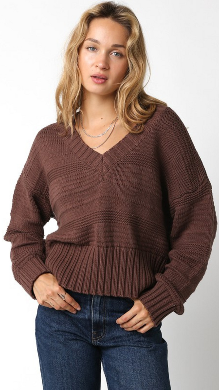 Coffee Bean V Neck Sweater