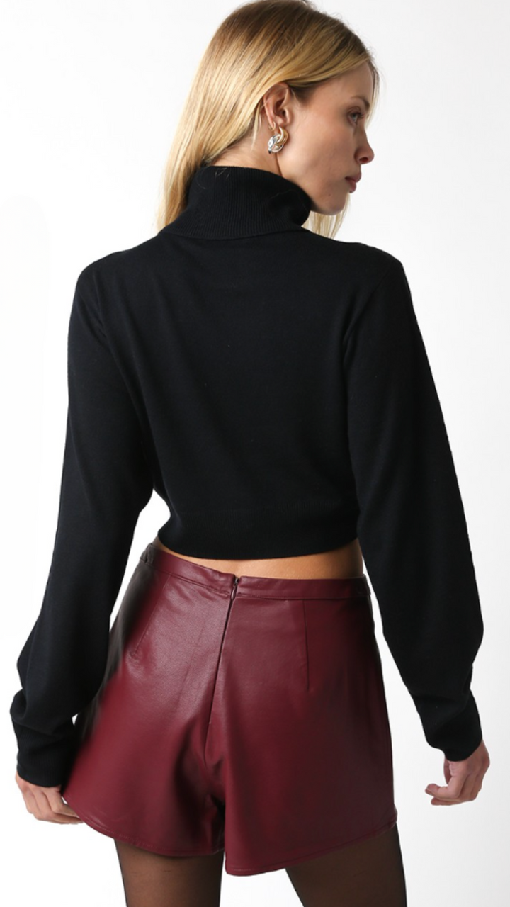 Turtle Neck Cropped Sweater