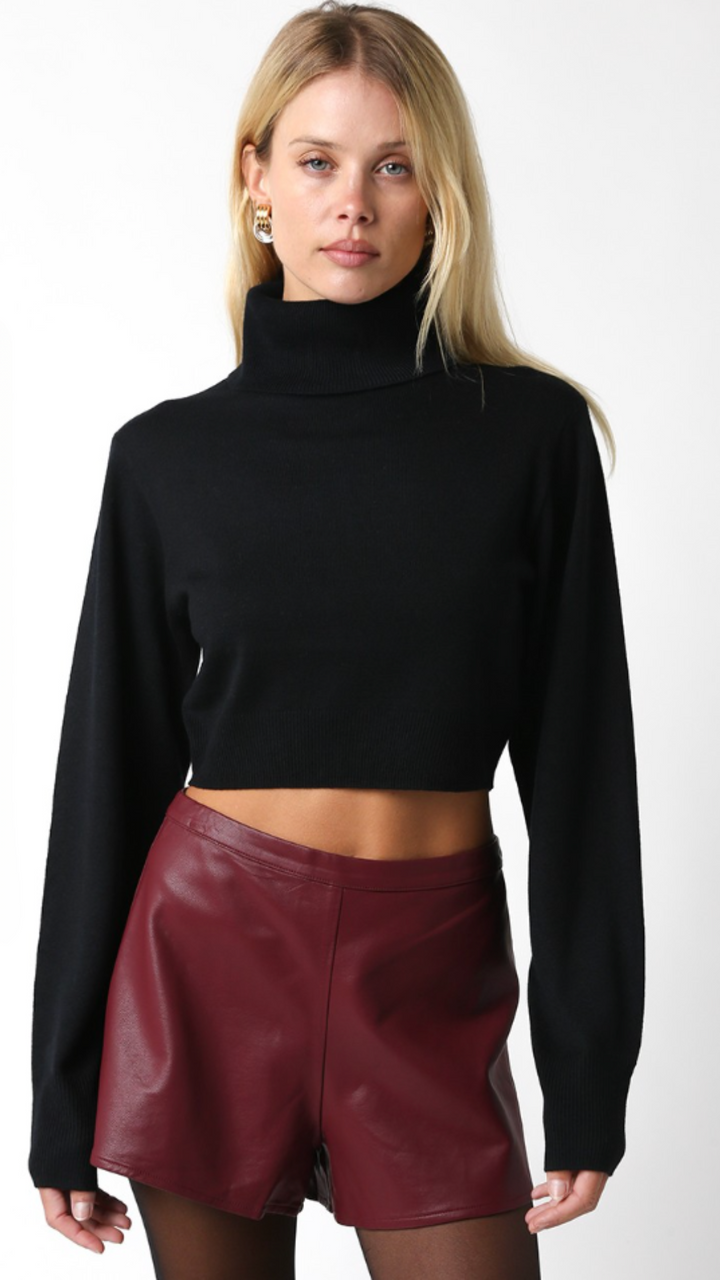 Turtle Neck Cropped Sweater